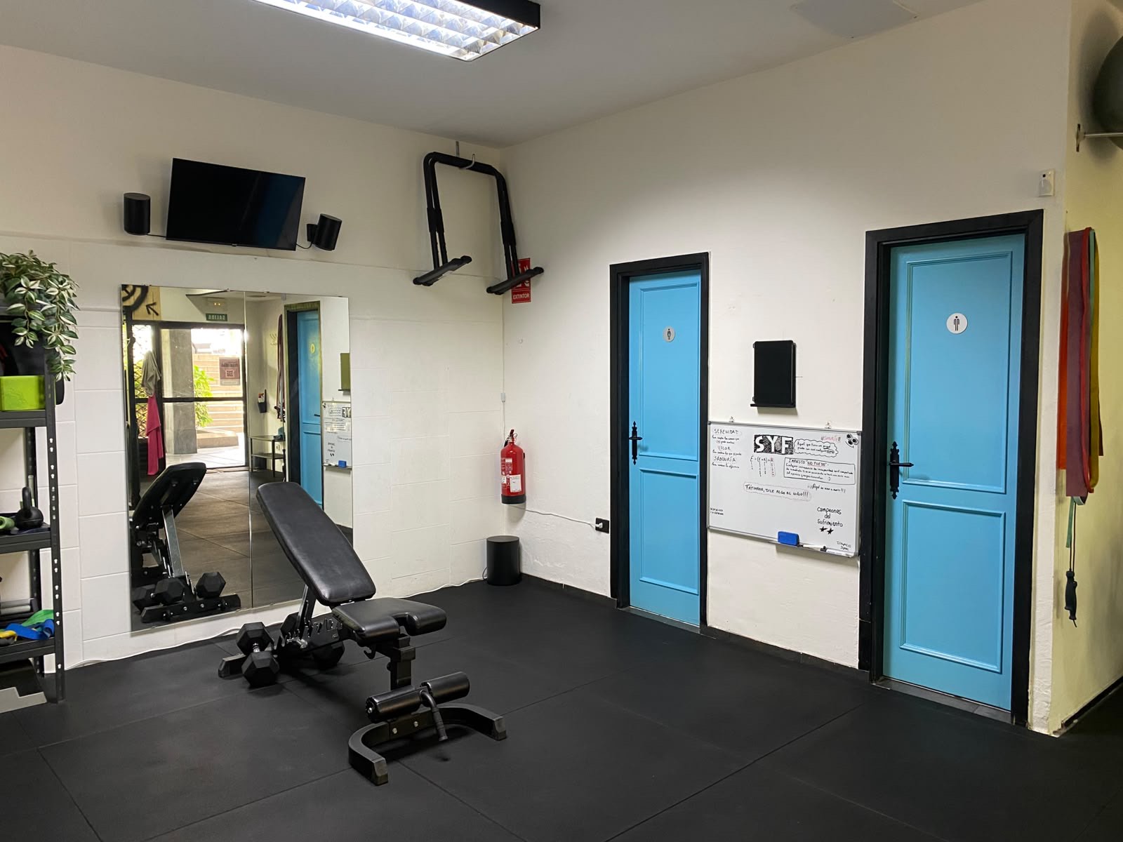 Interior de Salud y Fuerza con banco, mancuernas, espejo y puertas de vestuarios